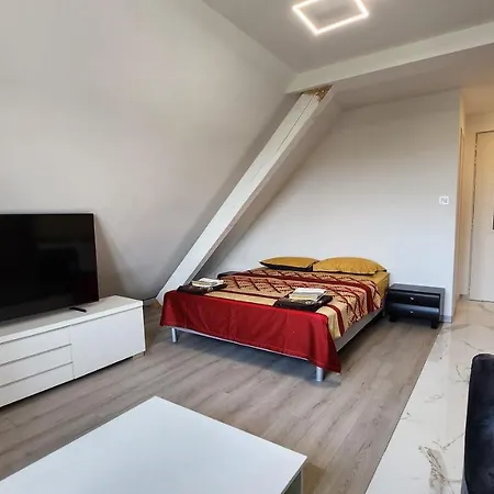 Vue Panoramique Sur La Plaine D'alsace Apartment Andolsheim