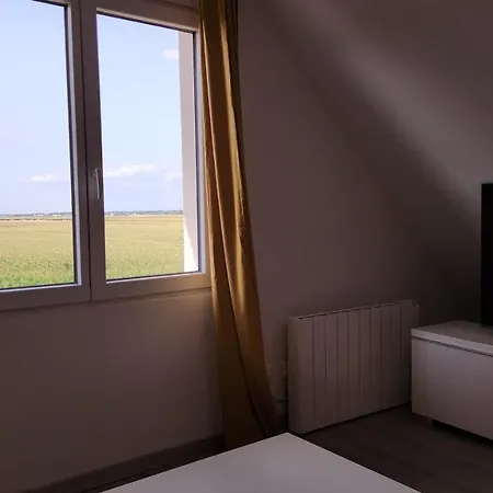 Vue Panoramique Sur La Plaine D'alsace Andolsheim